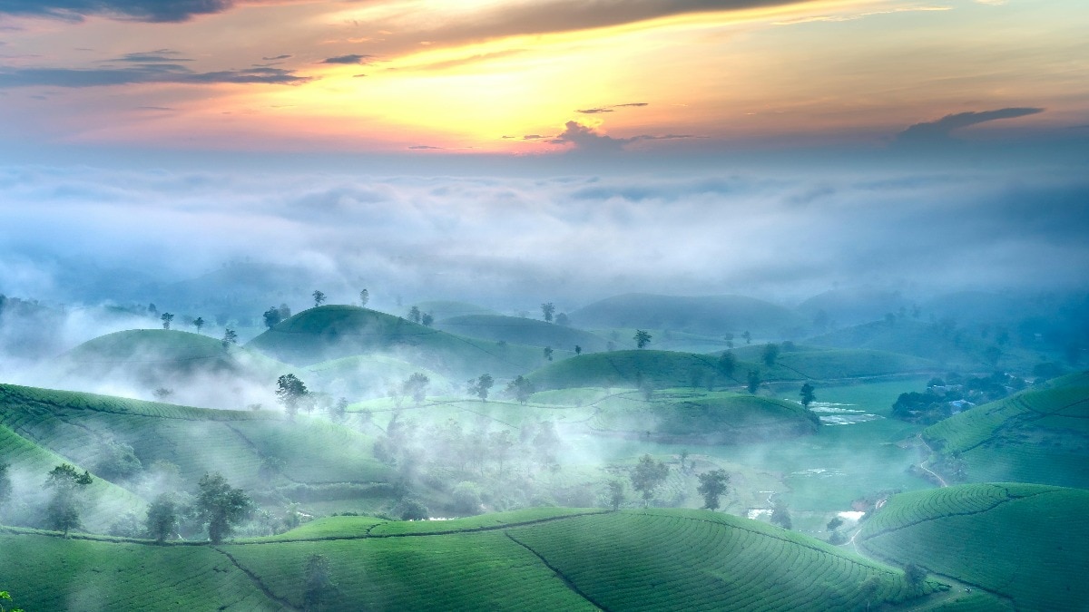 जहां धुंध के बीच खुद को तलाशने का मौका मिलता है (Photo: Pexels)