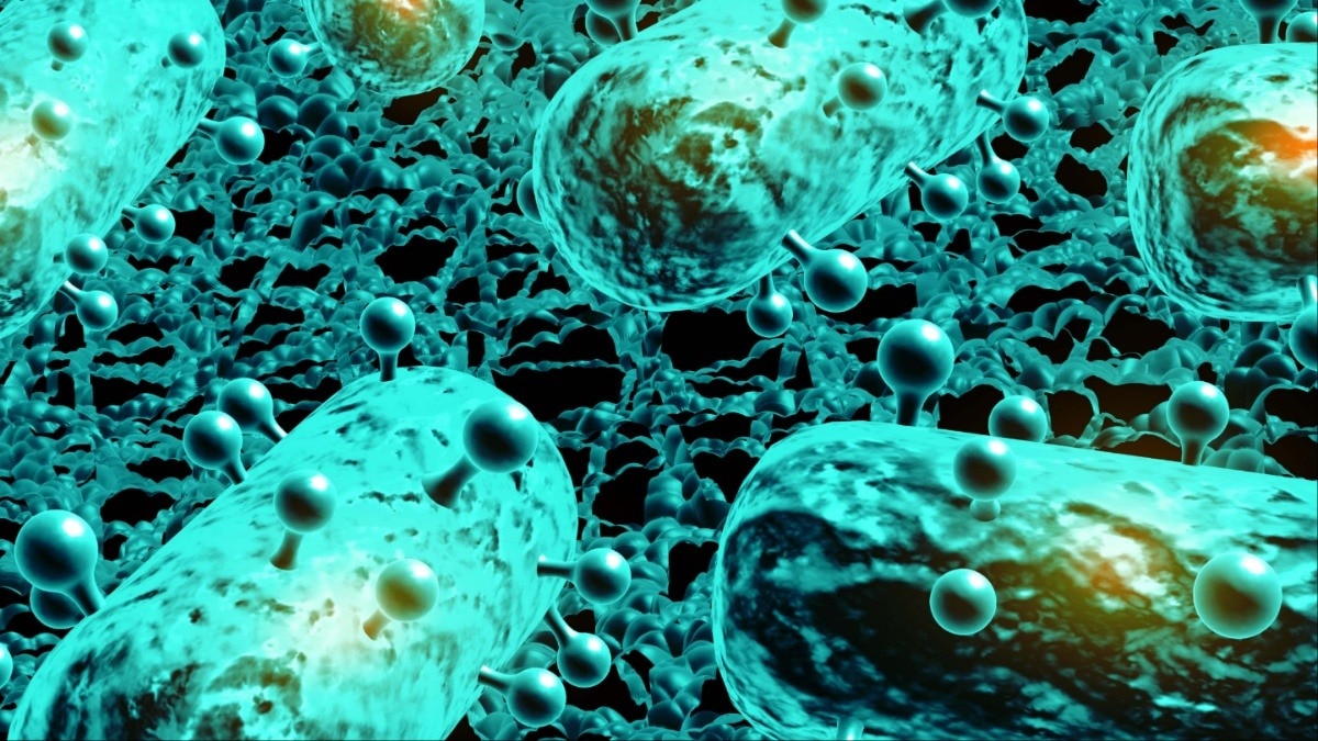 अस्पताल का सीवेज घटा रहा एंटीबायोटिक का असर, स्टडी में खुलासा