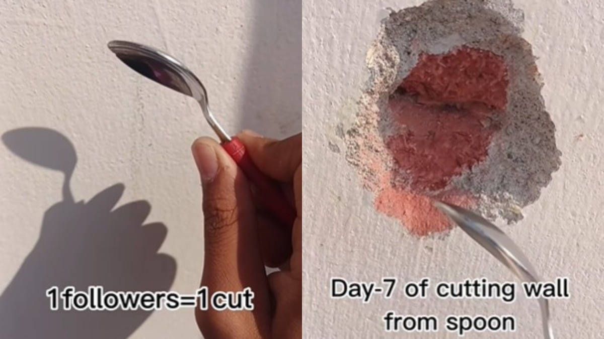 यह ट्रेंड सिर्फ दीवार तक सीमित नहीं रहा (Photo:x/@spoonandwall98)