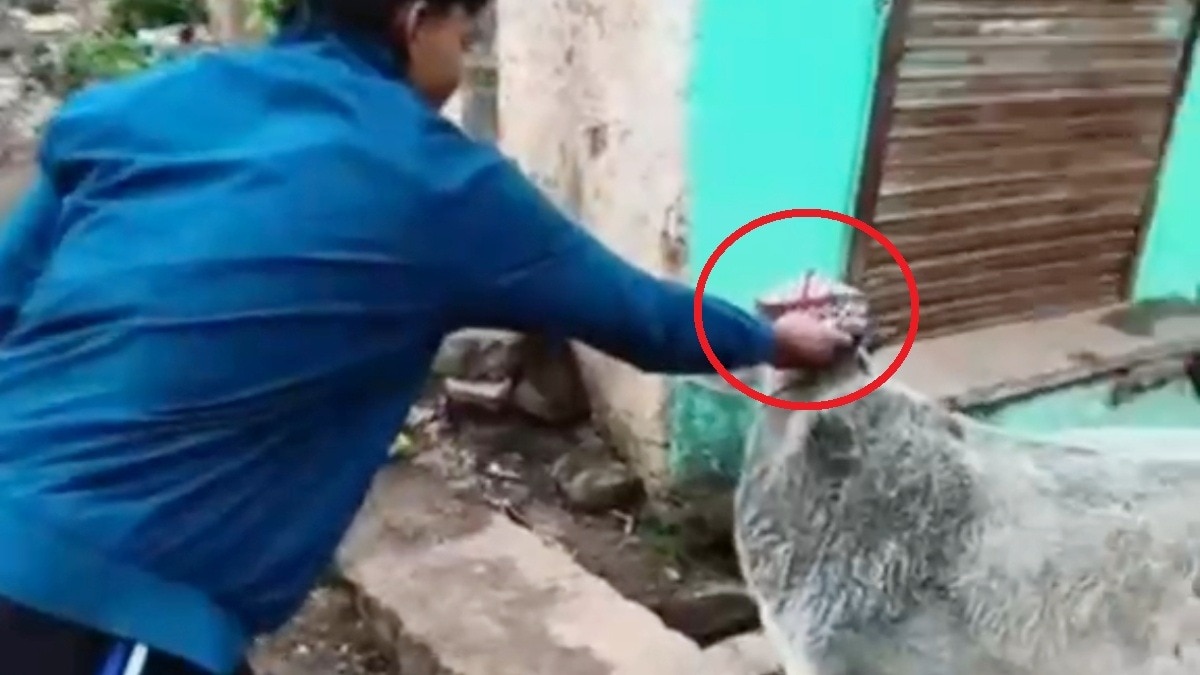 गोमाता के साथ अभद्र मजाक पर गौसेवकों का फूटा गुस्सा.(Photo:ITG)