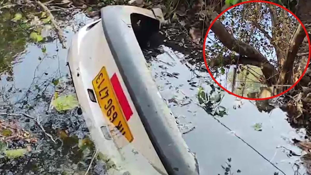 हादसे के बाद पेड़ पर लटकी और फिर नाले में गिरी कार.(Photo:Screengrab)