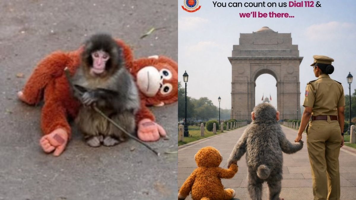 सोशल मीडिया पर कुछ दिनों से वायरल हो रहे बेबी मंकी की कहानी में अब नया मोड़ आ गया है. दिल्ली पुलिस ने एक्स. (Photo: insta, x) पर एक इमोशनल पोस्ट शेयर किया है