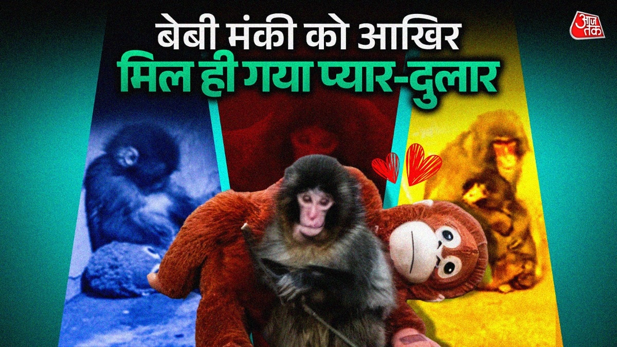 punch-kun-journey-from-rejection-to-acceptance-at-ichikawa-zoo