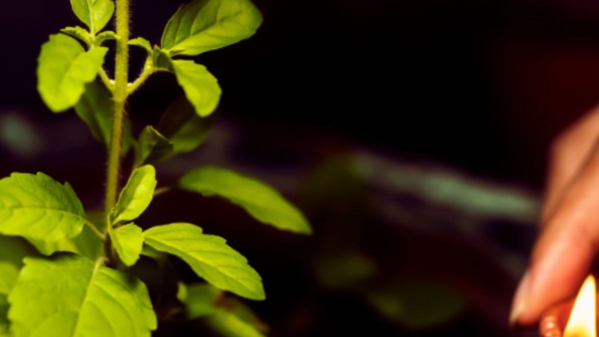 रंगभरी उपाय 2026