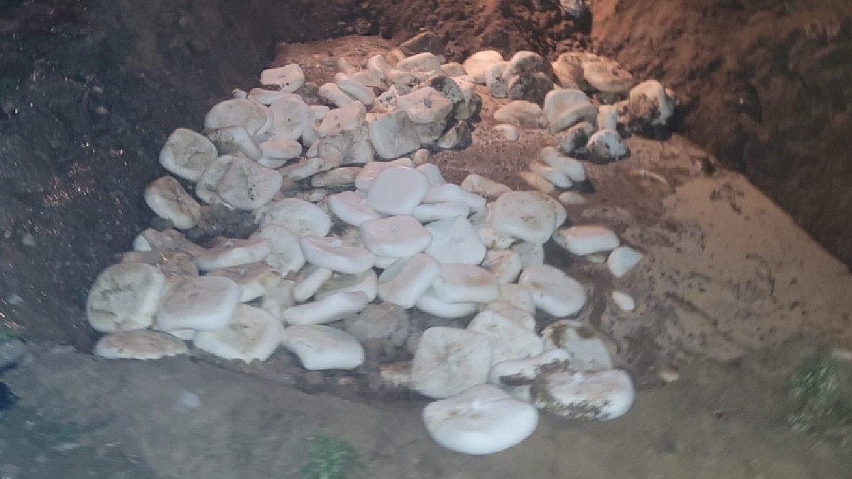 fake paneer ghaziabad and hapur