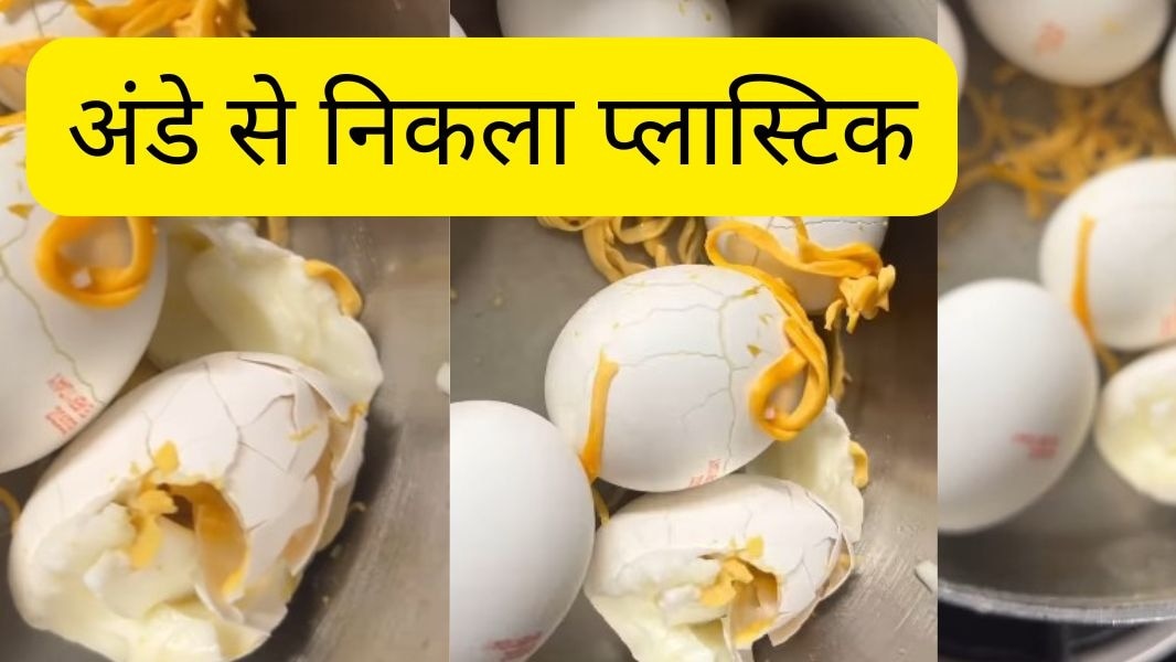 इस दावे के बाद खाने की सुरक्षा को लेकर एक बार फिर बहस छिड़ गई है. ( Photo: Instagram/ @Climbwithshalini)