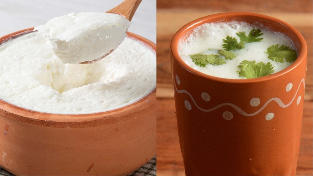 दही या छाछ? जानें एसिडिटी और कब्ज क्या लेना ज्यादा बेहतर है (Photo- Getty Image)