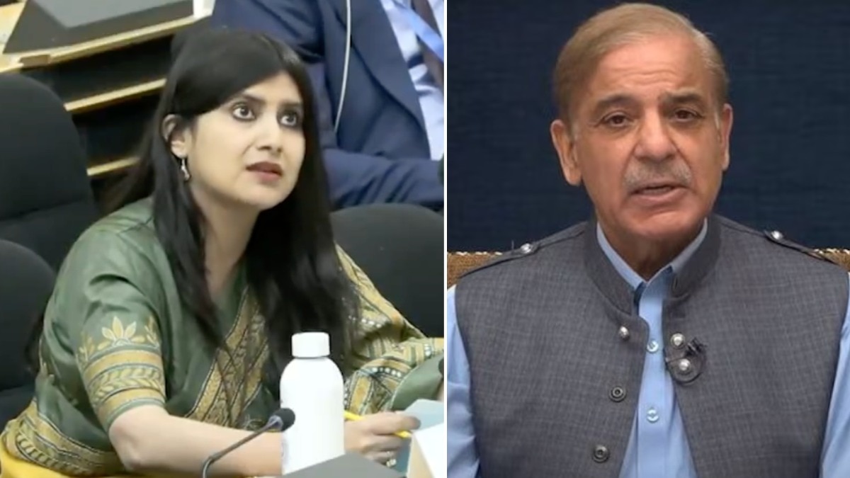 UN मंच से भारत का संदेश - आतंकवाद से क्षेत्र को अस्थिर करने की कोशिश नाकाम (Photo: X/@PTI)