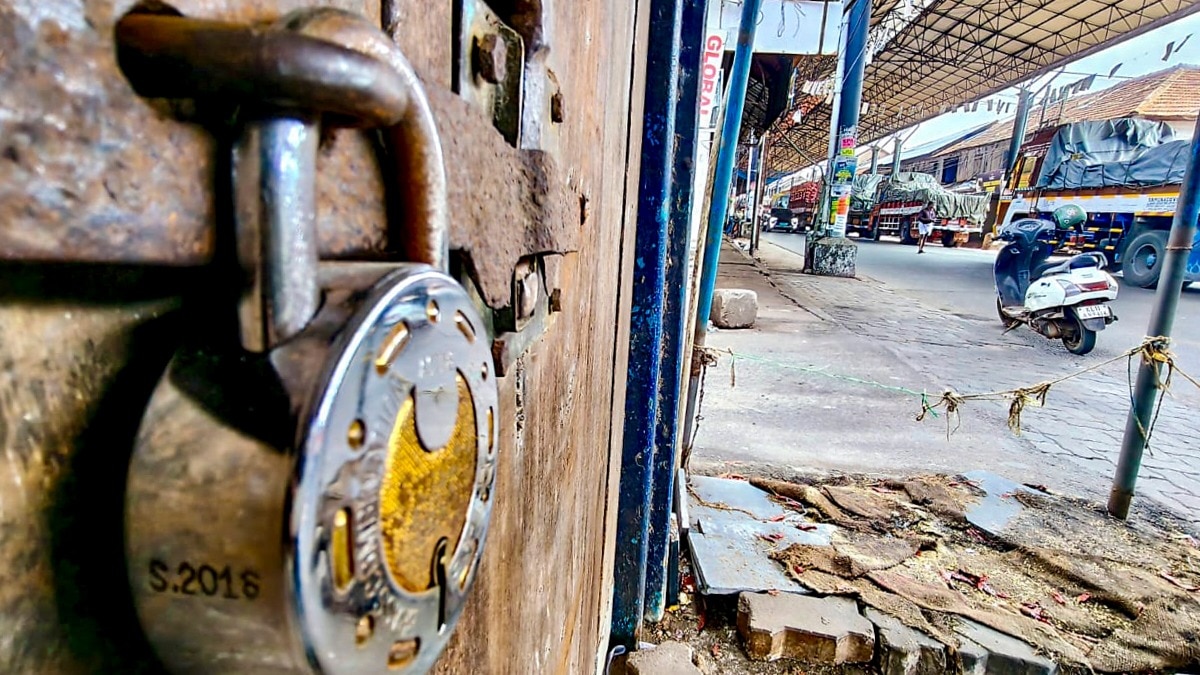 होली का त्योहार बेहद करीब है. इस दौरान स्कूलों से लेकर बैंक तक में छुट्टी होने वाली है. (Photo : PTI)