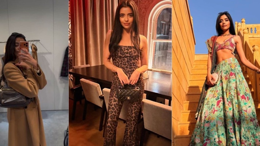 11 साल तक अमेरिका में रहने के बाद रायसिन सैनी ने भारत लौटने का फैसला किया. ( Instagram: raisinvlogs)