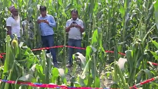 पुलिस ने नाबालिग को डिटेन किया है.(Photo: Screengrab)