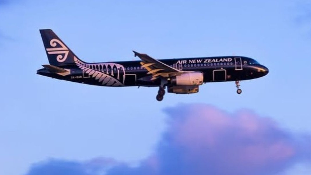 अगर विमान में दरार या तेल का निशान हो तो सफेद रंग पर जल्दी दिखाई देता है.( Photo: newzealand.com)