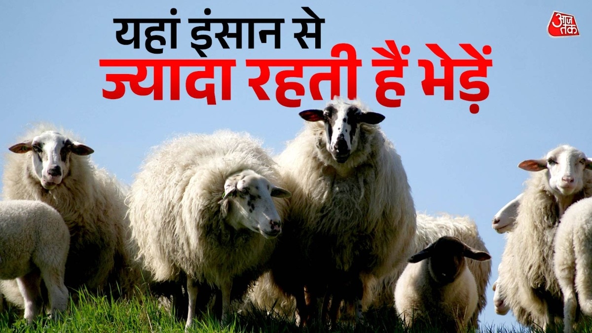  न्यूजीलैंड को दुनिया के सबसे अलग और दिलचस्प देशों में गिना जाता है. ( Photo: Pexels)