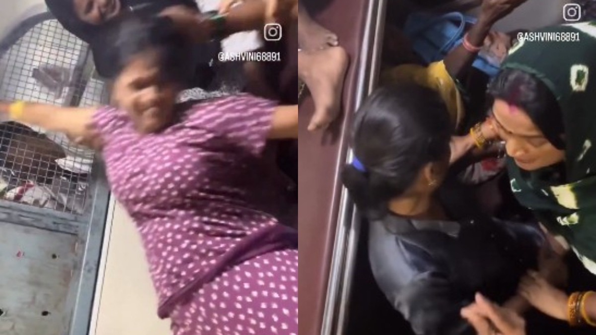 train seat fight video, women fight in train,