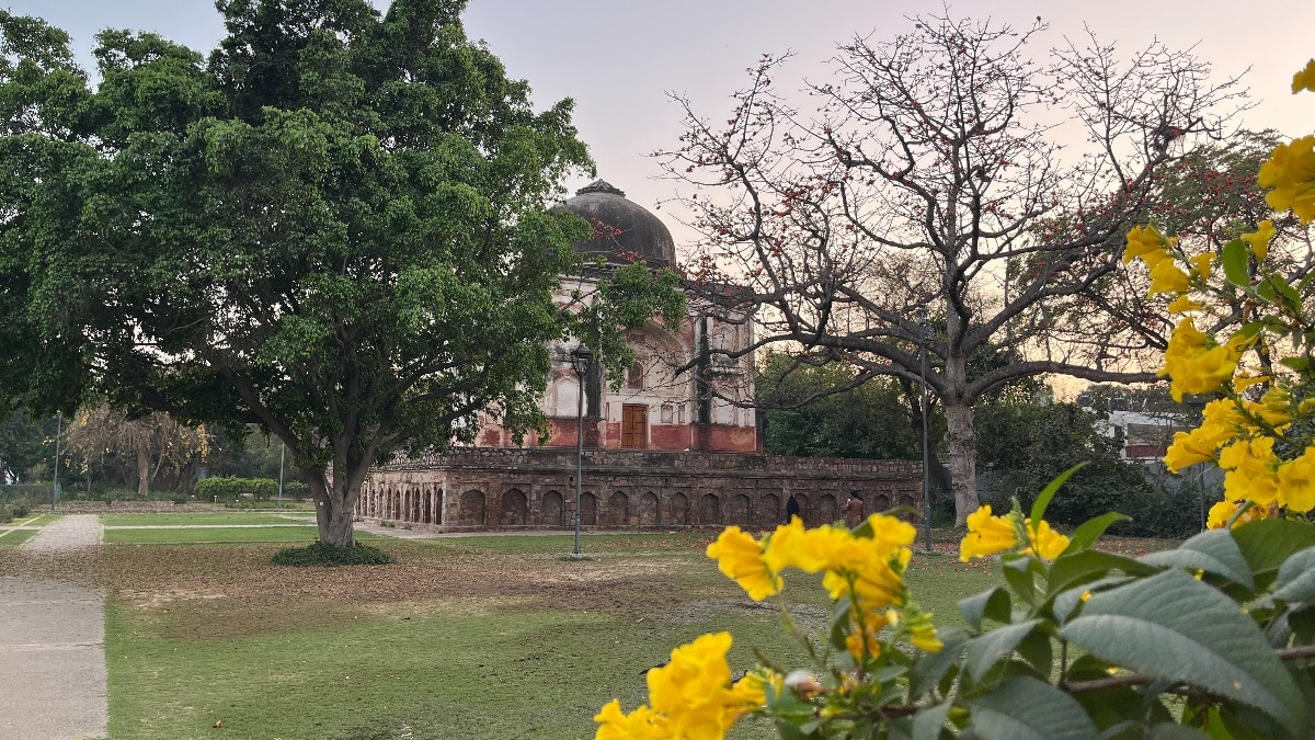 तारीख़ और ख़ूबसूरत नेचर का संगम है सुंदर नर्सरी