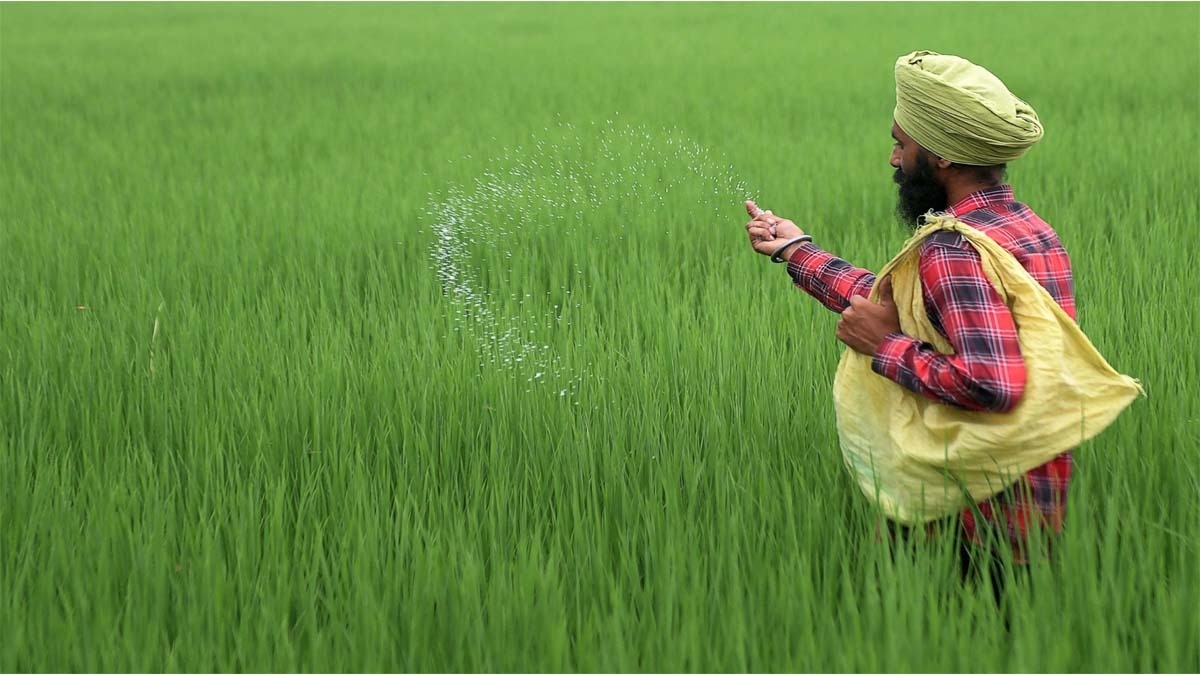 युद्ध के कारण हो सकता है खाद संकट (फाइल फोटो- AFP)