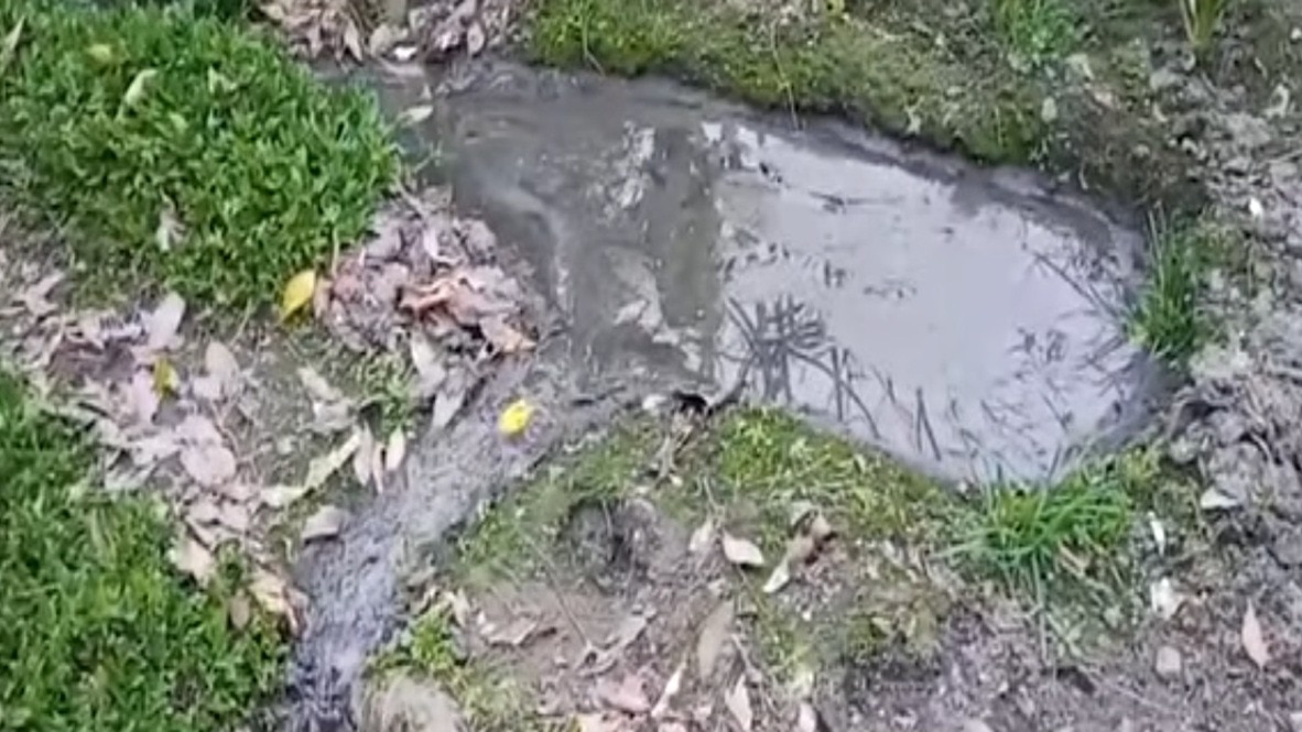 30 साल से घर के बाहर बह रहा सीवर का पानी. (Photo: Screengrab)