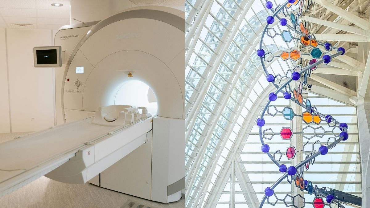 इंजीनियरिंग के क्षेत्र में बायोलॉजी से जुड़े कोर्स पिछले कुछ सालों से छात्रों के बीच काफी लोकप्रिय हो रहे हैं. (Photo : Pexels)