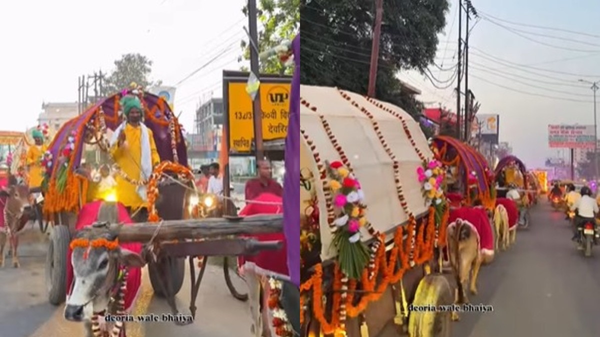 bullock cart wedding, traditional baraat india