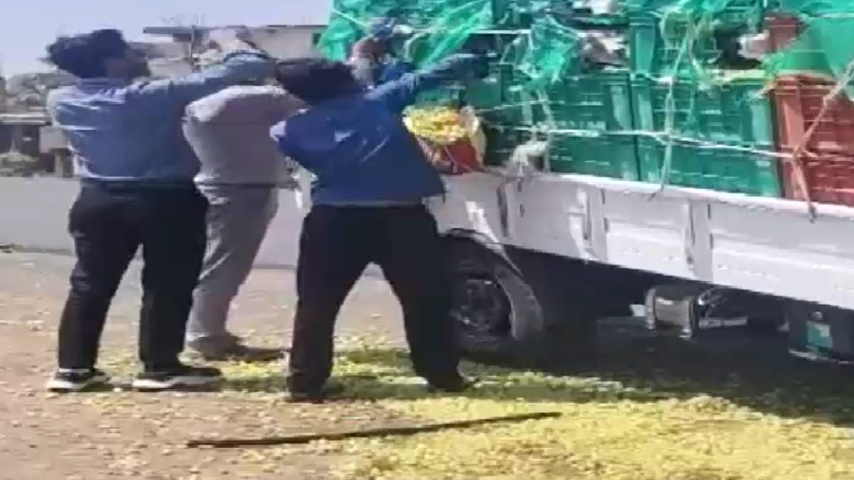  scramble for grapes breaks out