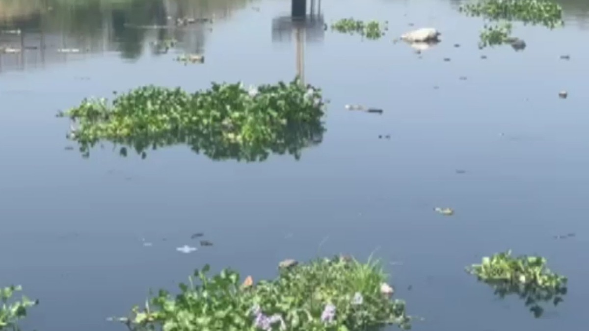 मीठी नदी की सफाई के लिए कोई ठेकेदार नहीं मिल पा रहा है. (Photo: ITG)