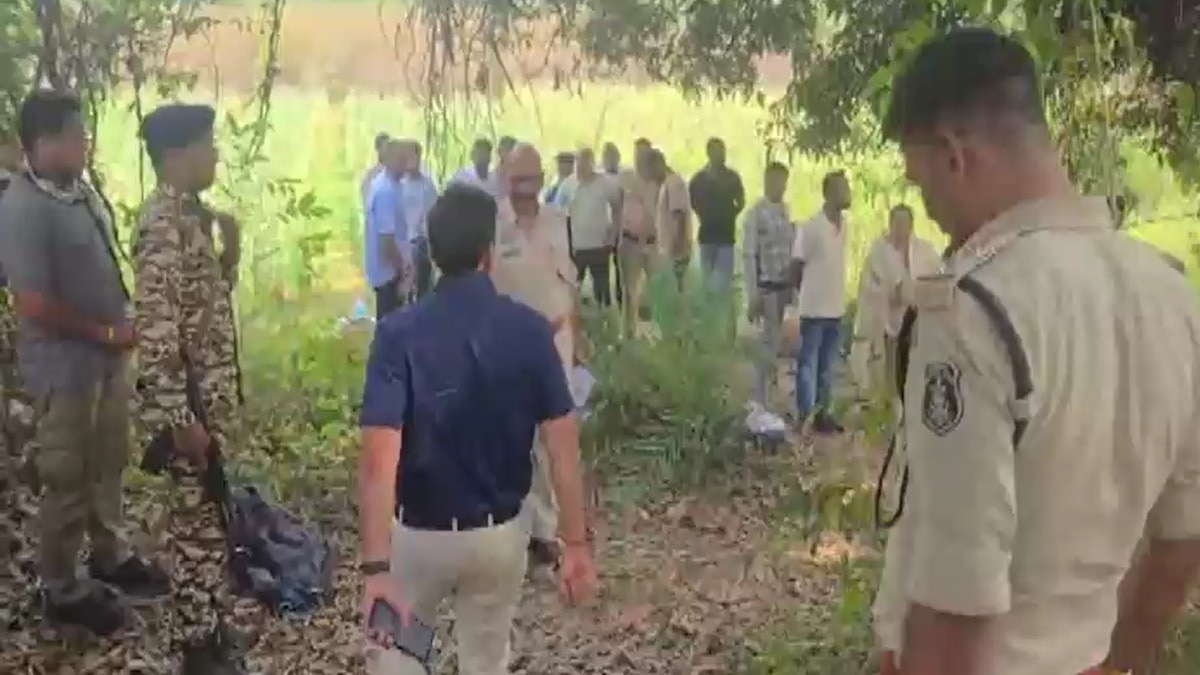 आमाघाट में अफीम की अवैध खेती का खुलासा (Photo: Screengrab)