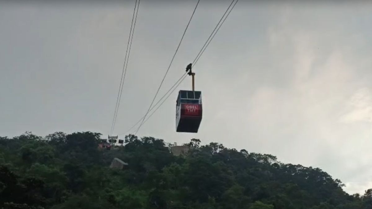 महासमुंद में रोपवे हादसे में एक की मौत. (Photo: Screengrab)