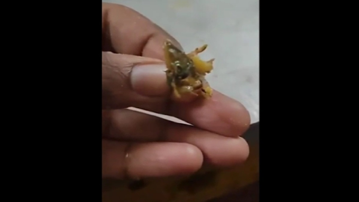  राजीव गांधी प्रौद्योगिकी विश्वविद्यालय में विवाद (Photo: itg)