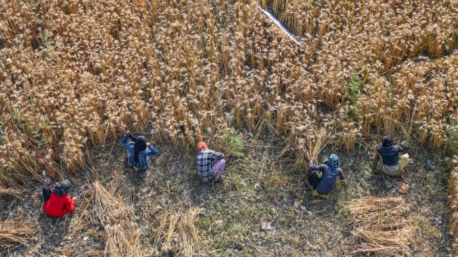 किसानों के लिए चुनौती बनी मौसम की मार