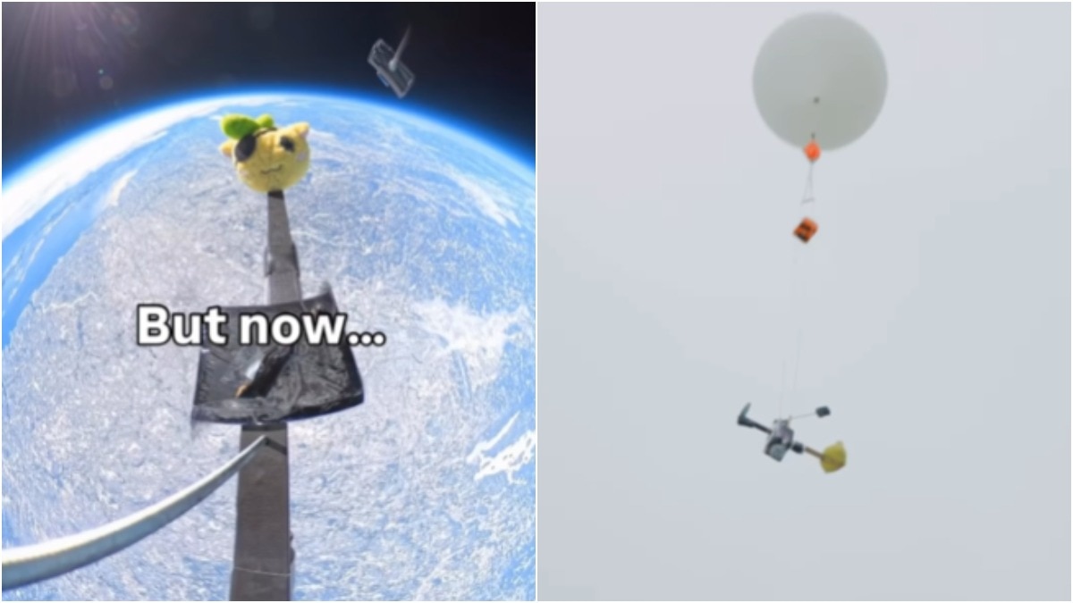 Amy soft toy viral trend