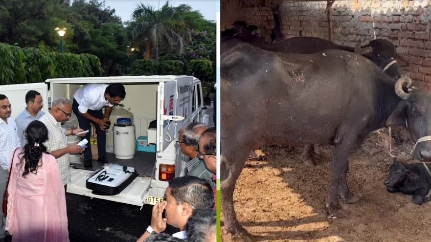  veterinary van (Photo- ITG)