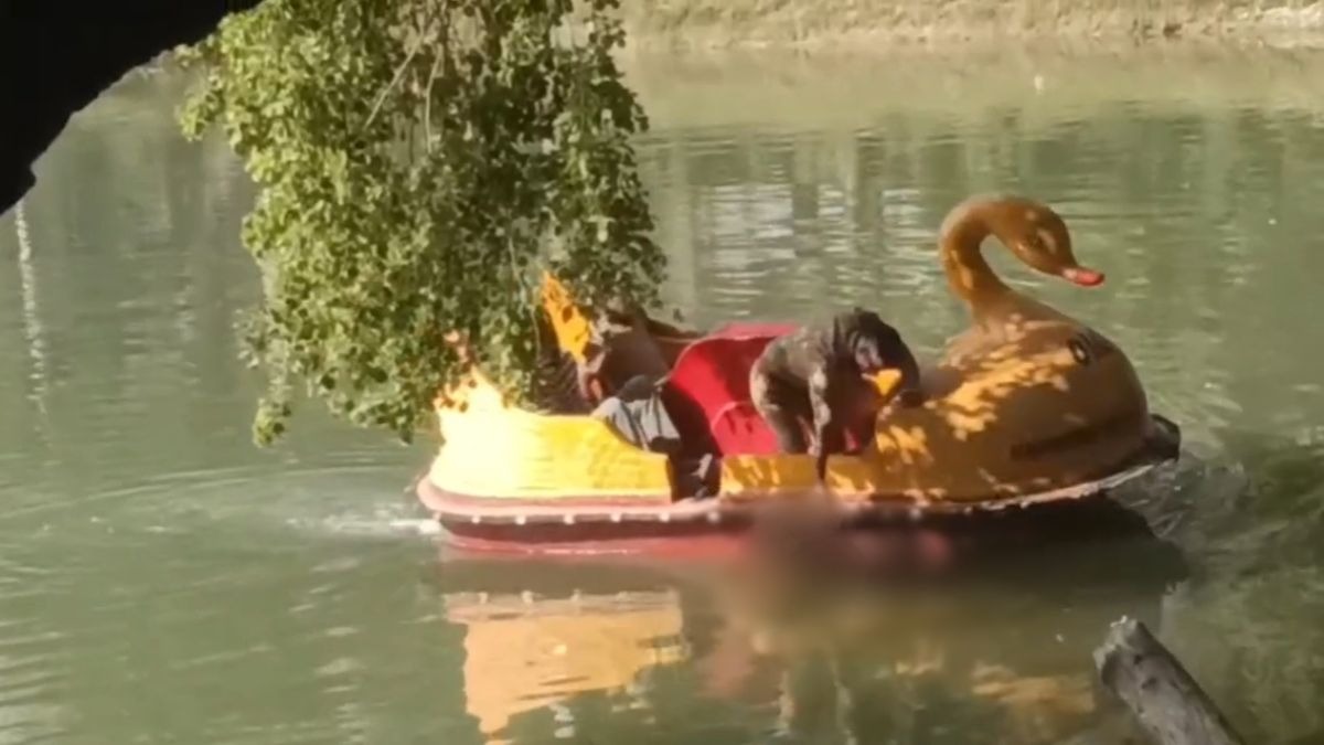 कानपुर में मोतीझील में मिली किशोर की लाश. (Photo: ITG)