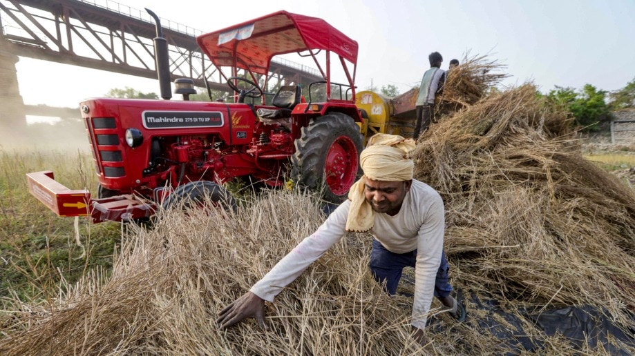 बदलते मौसम में फसल सुरक्षा (Photo-PTI)