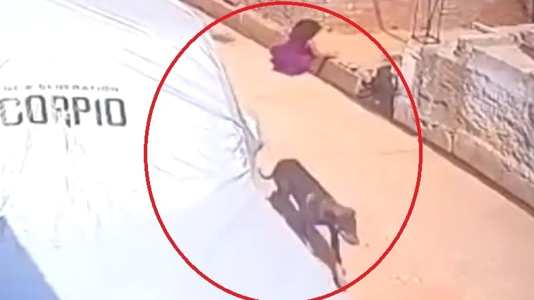 बच्ची पर हमले के बाद भागता कुत्ता. (Photo: Screengrab)