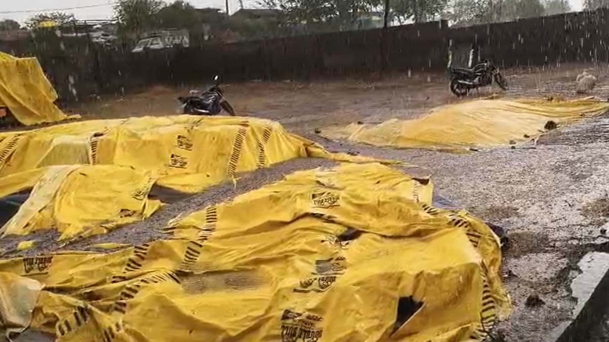  किसानों ने मंडी प्रशासन पर लगाया फसल खरीदी में देरी का आरोप