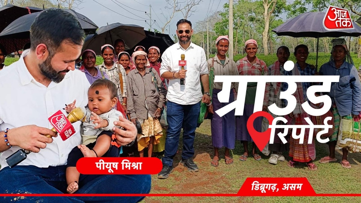 ग्राउंड रिपोर्ट: 8 घंटे काम, 250 रुपये कमाई! संघर्ष झेल रहे चाय के बागान मजदूर