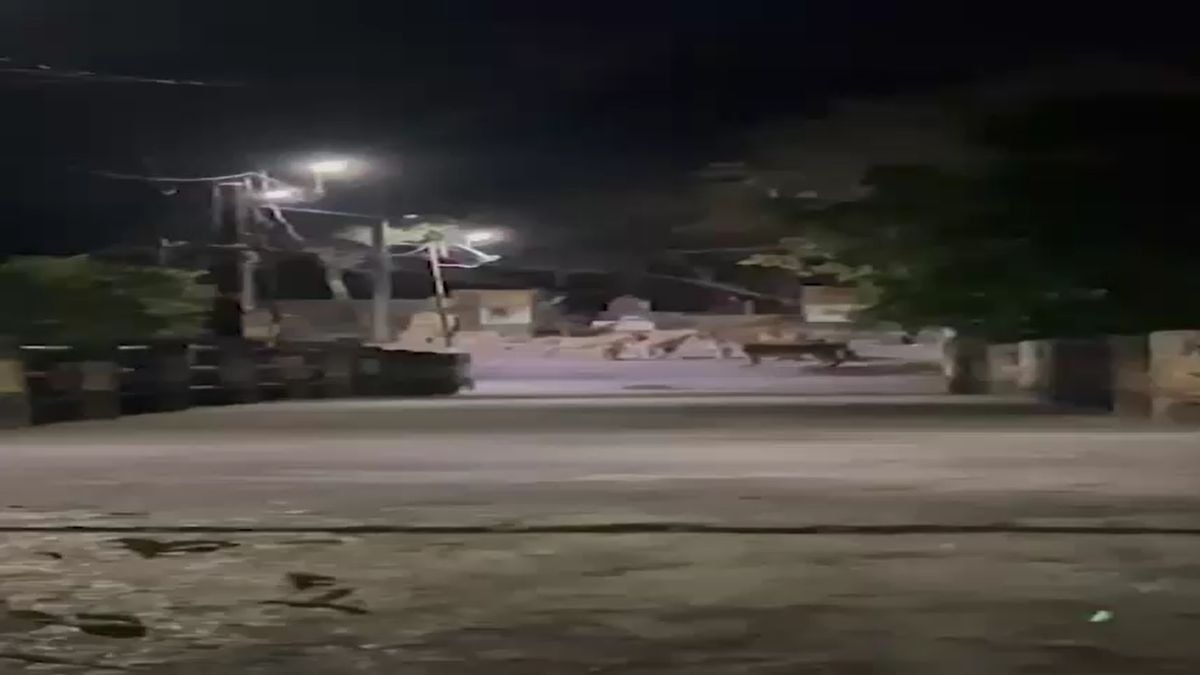 रात का वक्त और श्मशान घाट... अचानक दिखे शेर तो मची अफरा-तफरी