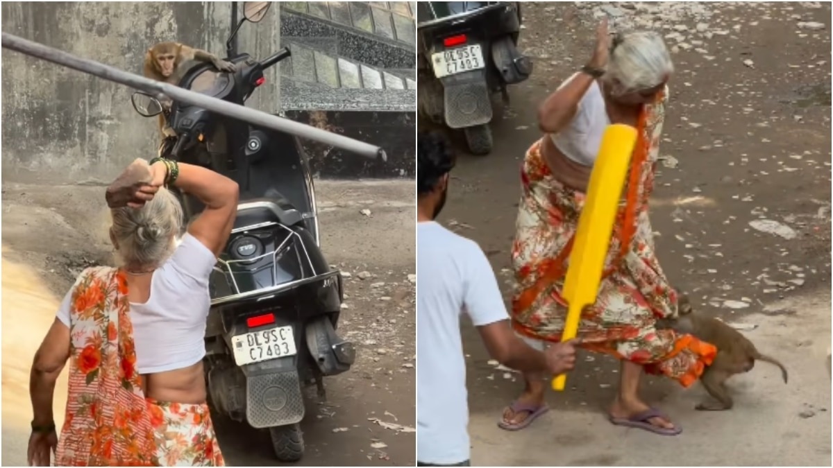  वीडियो में एक बुजुर्ग महिला और बंदर के बीच टकराव नजर आता है (Photo:Insta/@vishal_kashyap)