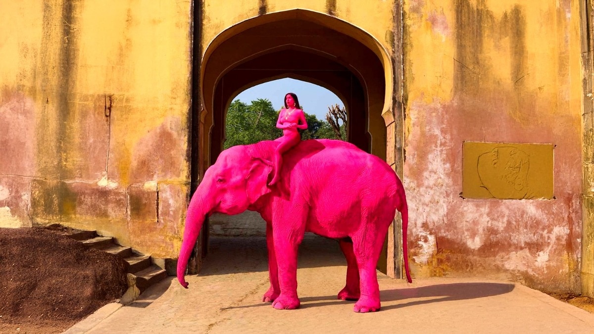 हथिनी चंचल की मौत से बढ़ा विवाद  (Photo: Rytham/ITG)