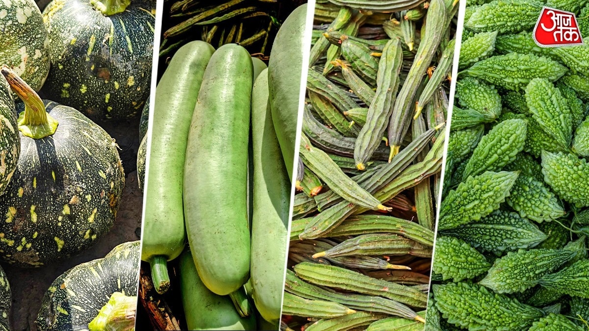 घर में उगाएं गर्मियों की सब्जियां, बीज किट के साथ फ्री मिलेगी खुरपी