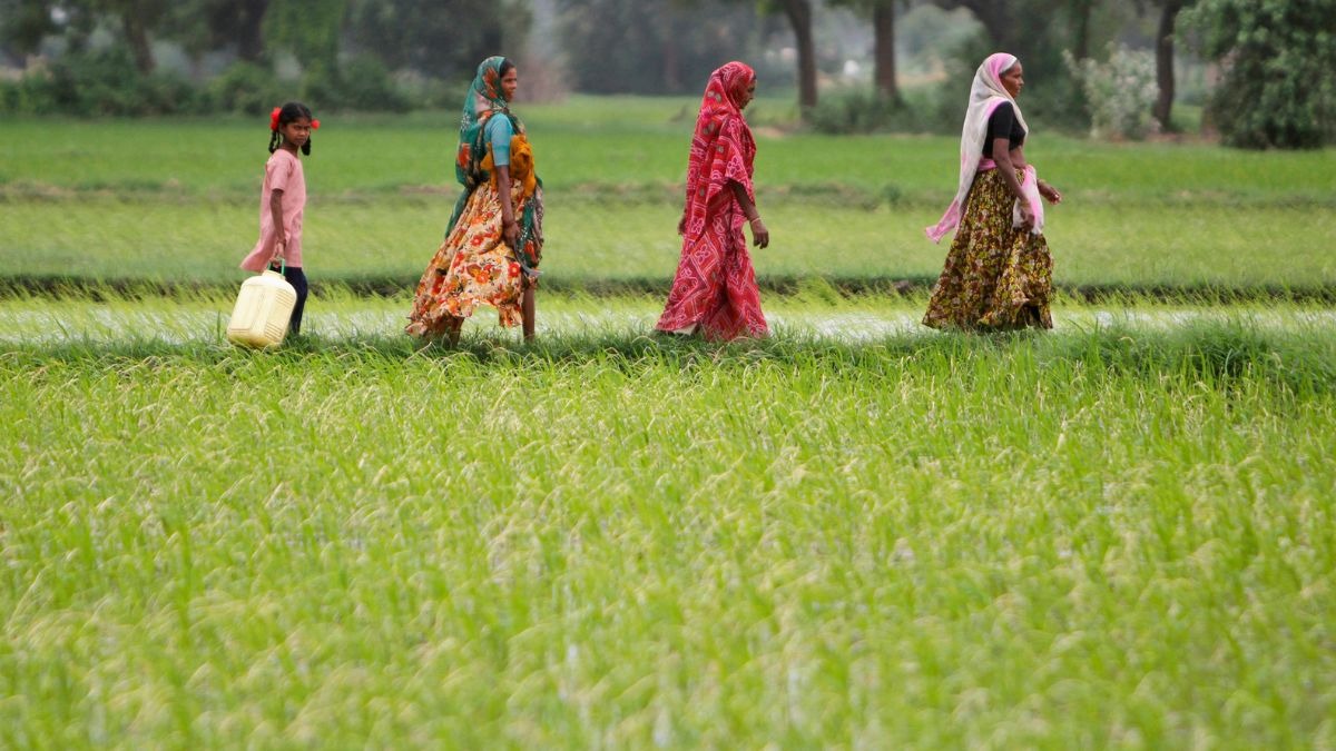 कम पानी और जल्दी मुनाफा... किसान गर्मियों में लगाएं ये फसलें