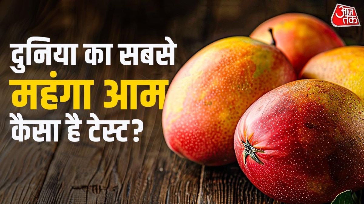 इस आम का नाम मियाजाकी है. (Photo: ITG)