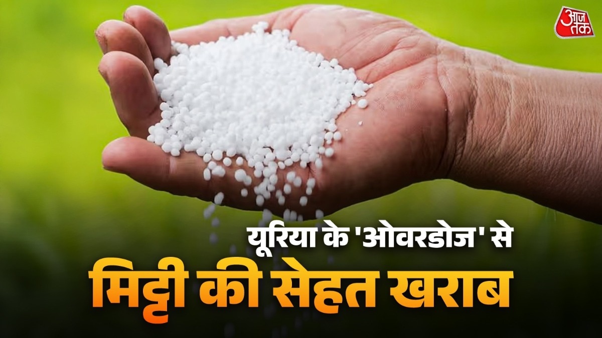 खेती में यूरिया का अंधाधुंध इस्तेमाल मिट्टी और मानव दोनों के लिए 'साइलेंट किलर' (फाइल फोटो-ITG)