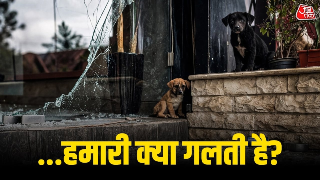 जंग इंसानों की, मार झेल रहे बेजुबान! खौफ की असली तस्वीर है लेबनान का ये VIDEO