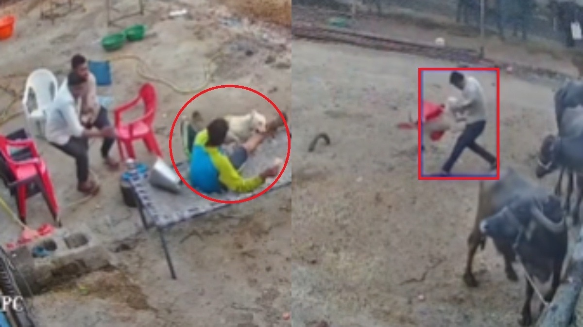 पूरे इलाके में डर का माहौल है.(Photo: Screengrab)