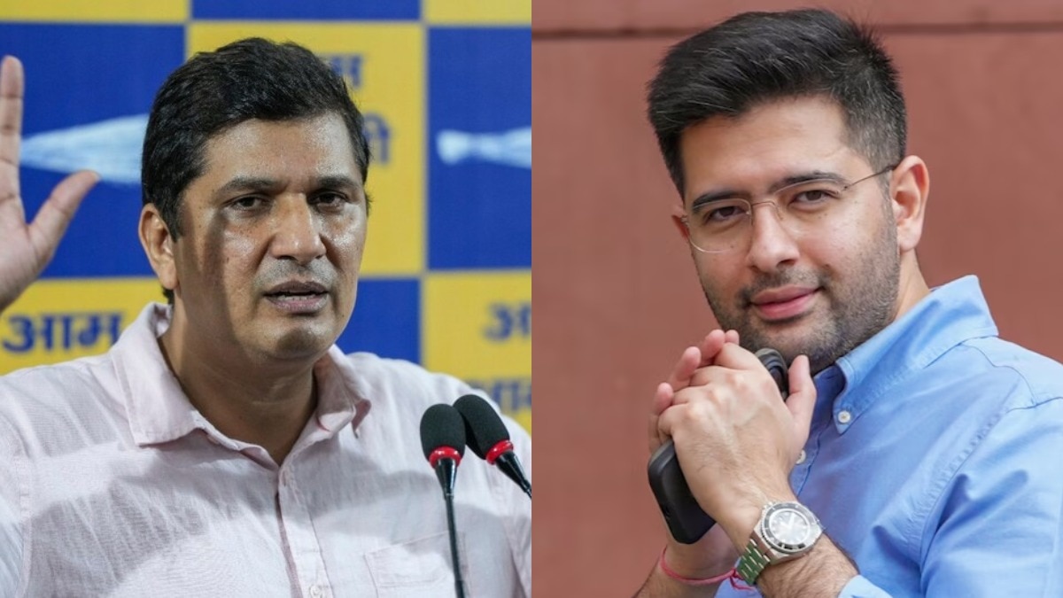 सौरभ भारद्वाज ने राघव चड्ढा पर 'डिजिटल सफाई' का आरोप लगाया. (Photo: PTI)