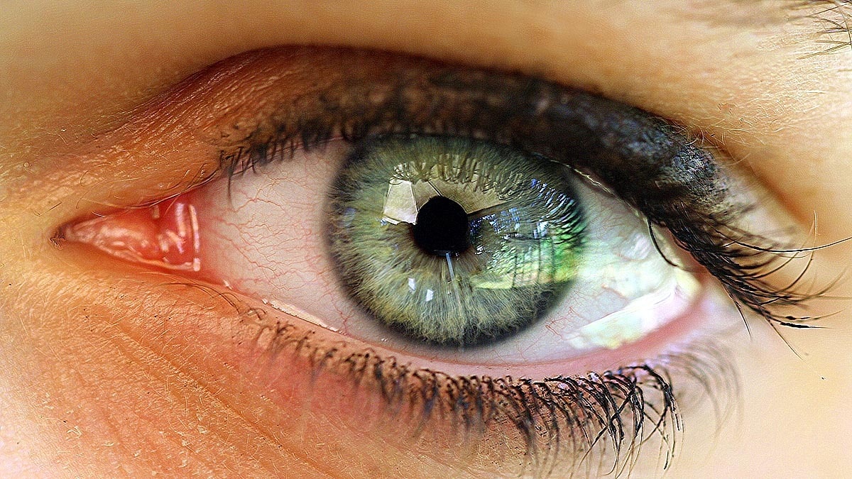 Human is almost Blind