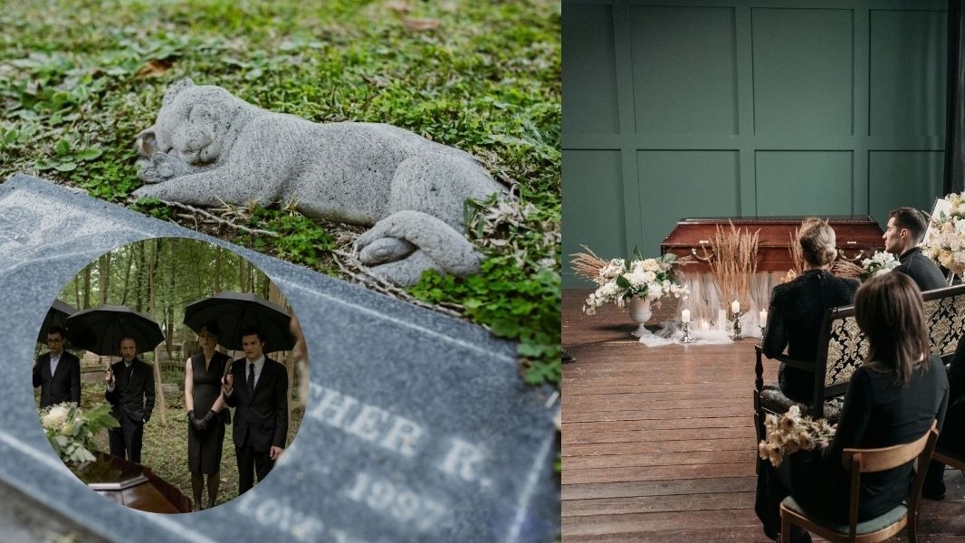 पालतू अंतिम संस्कार सेवाएं अब एक बड़ा बिजनेस बनती जा रही हैं. ( Photo: Pexels)