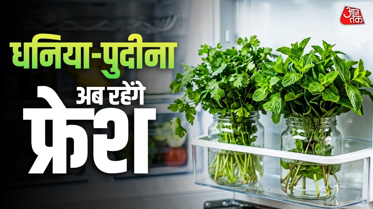 how to keep coriander and mint fresh