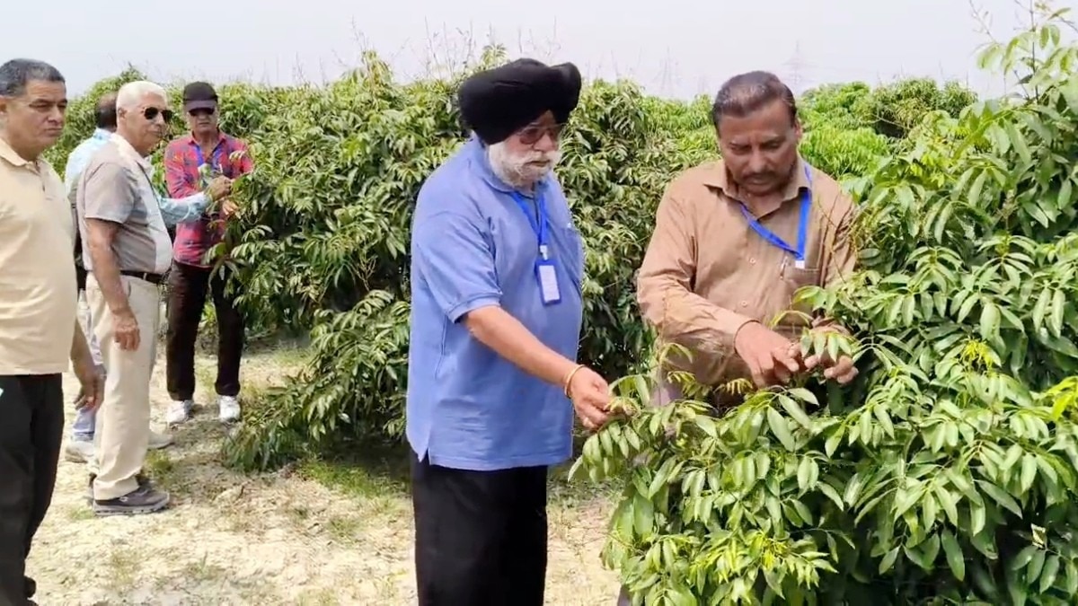 10×15 फीट में खेती, ज्यादा मुनाफा! बिहार बना पंजाब के किसानों का ट्रेनिंग हब